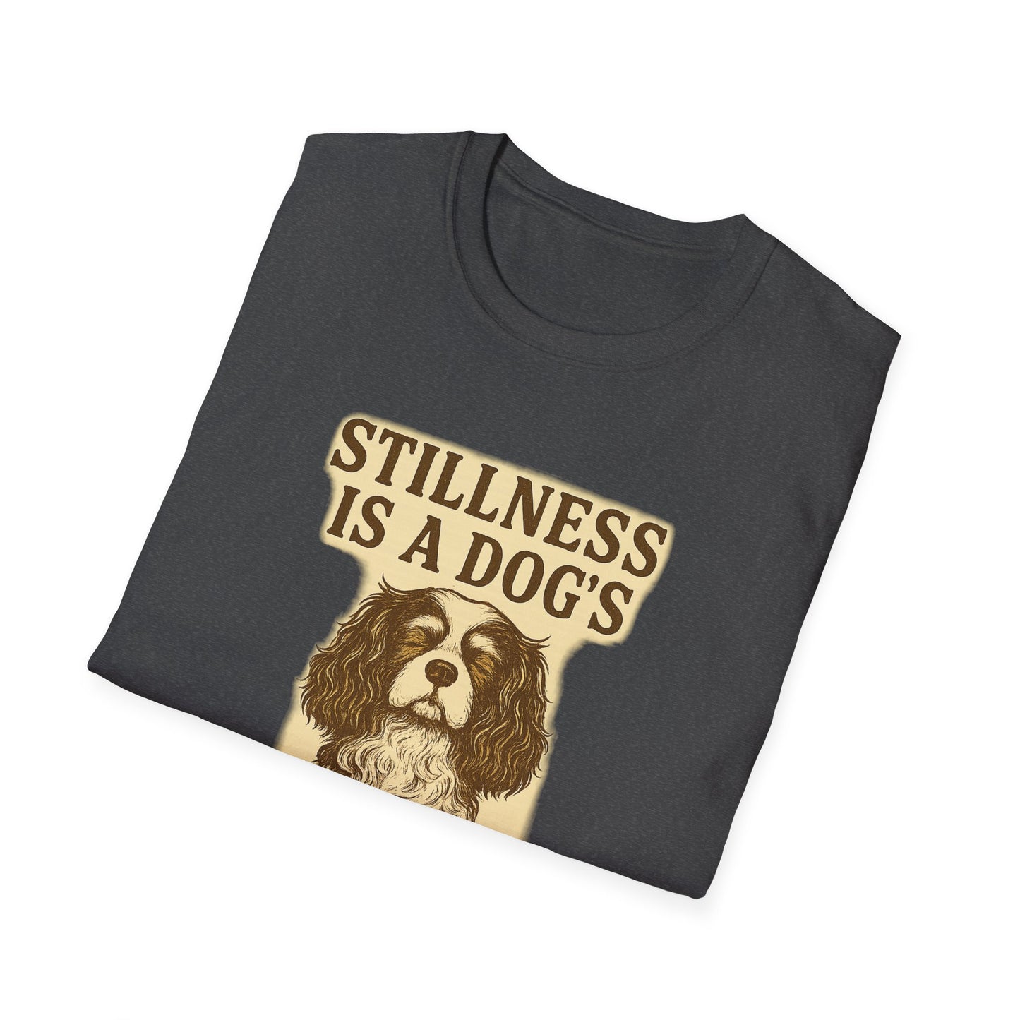 Stillness Cavalier T-Shirt