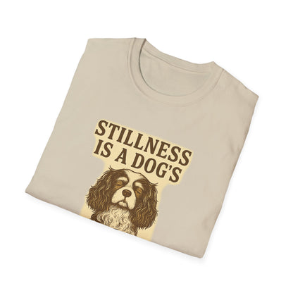 Stillness Cavalier T-Shirt