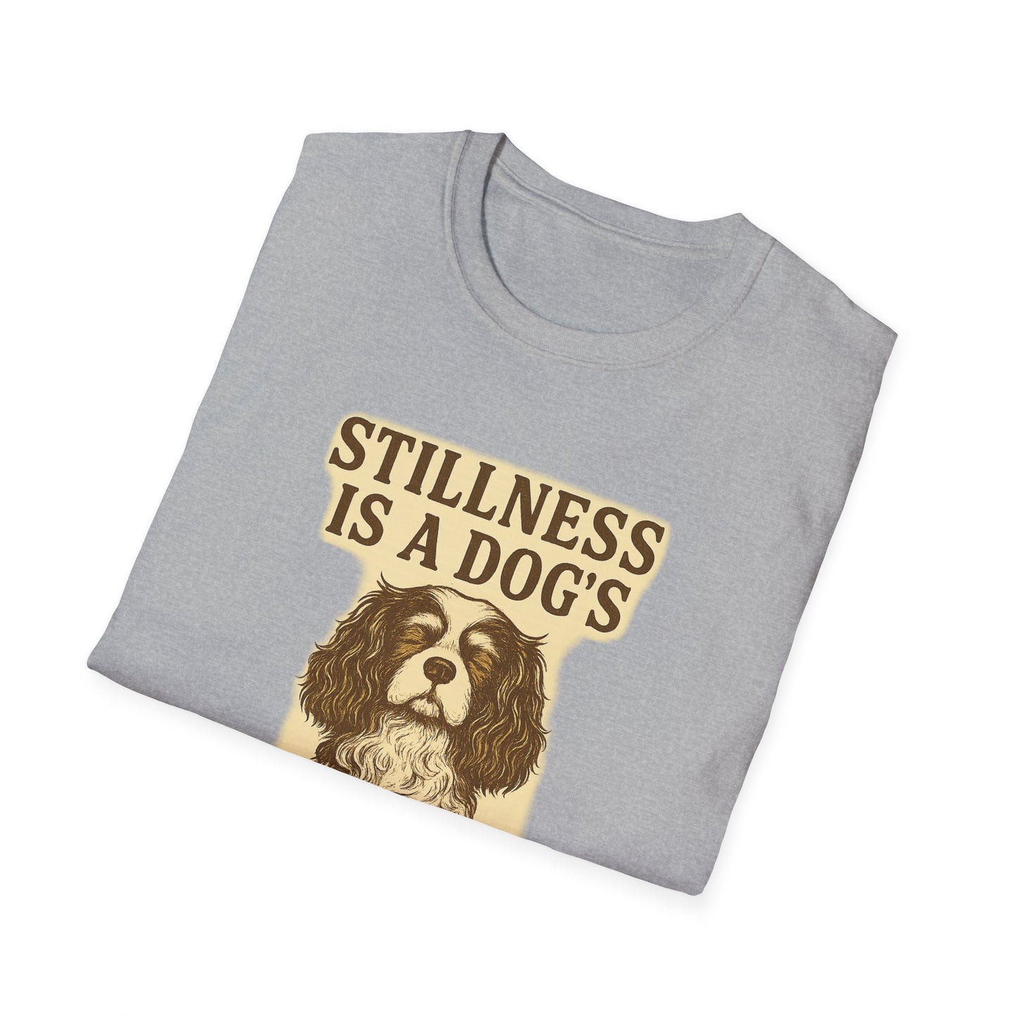 Stillness Cavalier T-Shirt