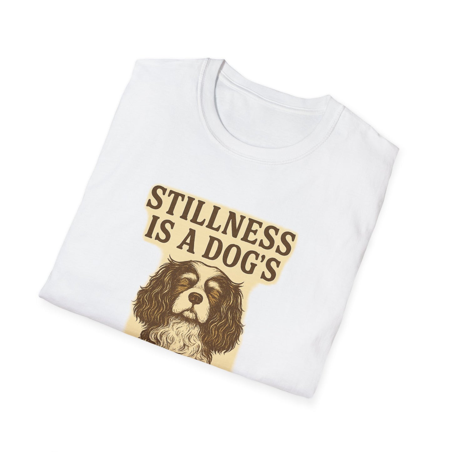 Stillness Cavalier T-Shirt